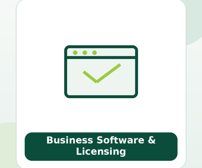 Business Software & Licensing
