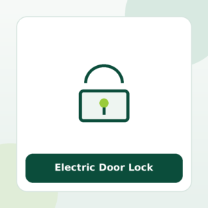 Electromagnetic Door Lock