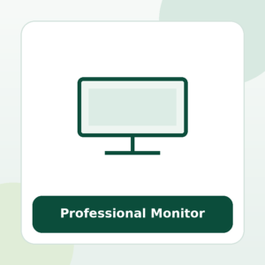 24-inch Professional Monitor